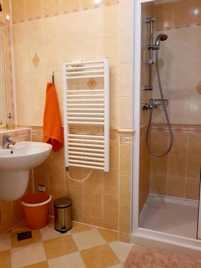 Appartment Centrum Karlovy Vary Luaran gambar